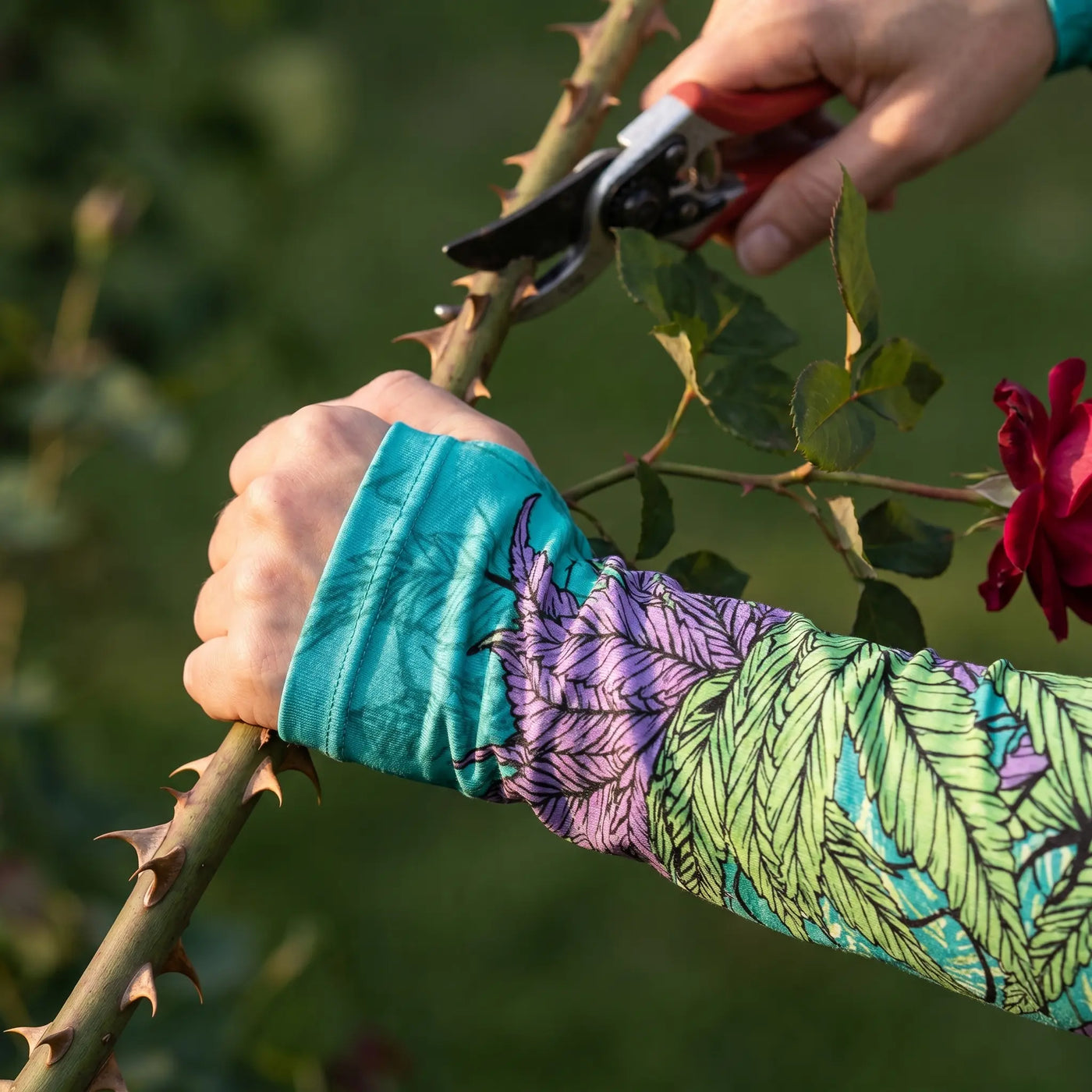 You fight thorns and canes